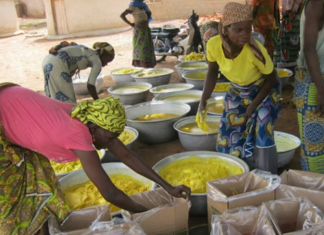 Shea Butter Producers in Kaleo Appeals for Market Access and Employment Support Amid Rising Hardship