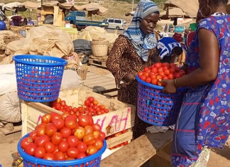 Low Crop Prices and Lack of Support Hamper Agricultural Productivity in Mwal Electoral Area
